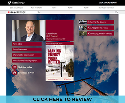 Xcel Energy Annual Report